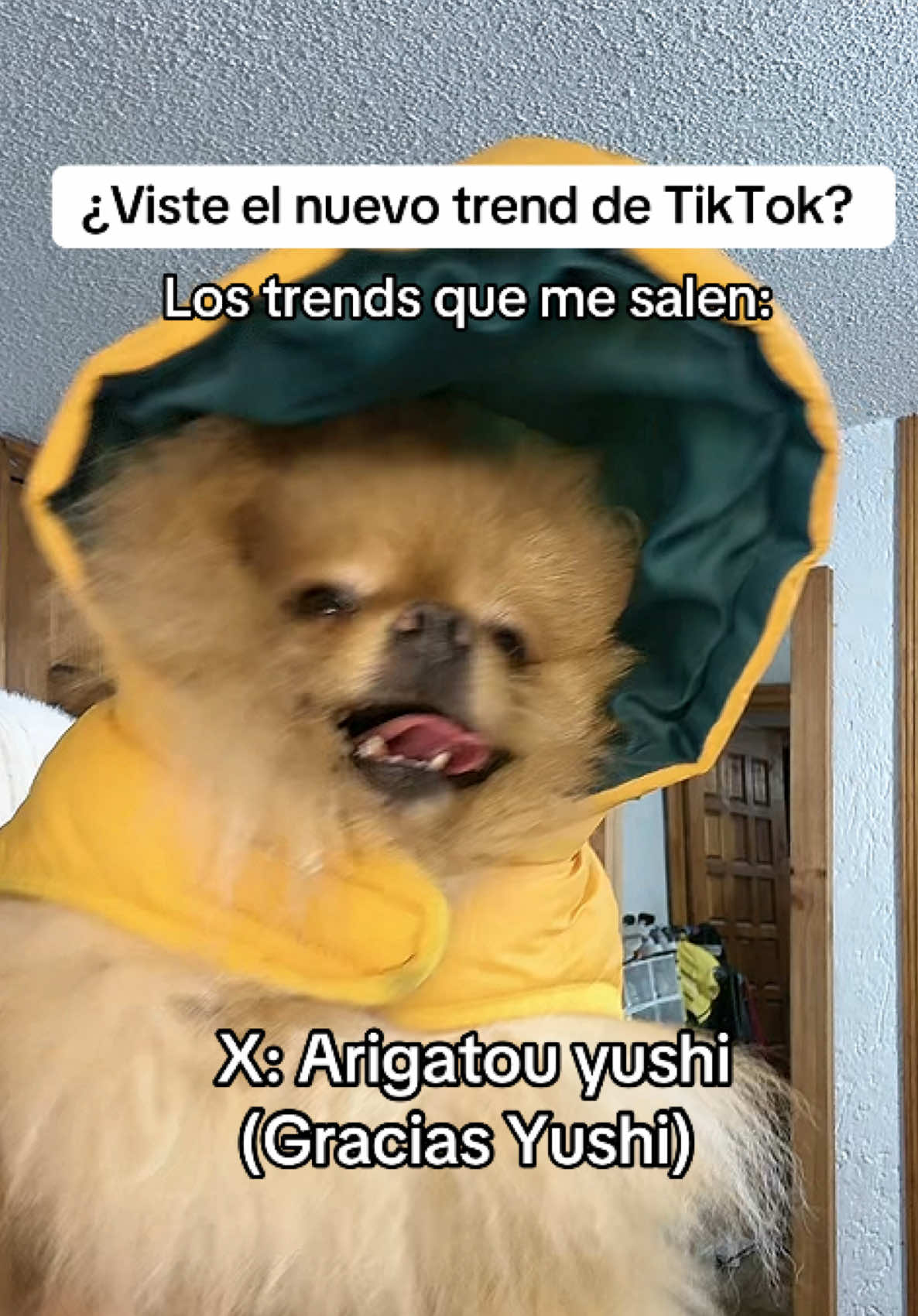 @Enju Vega