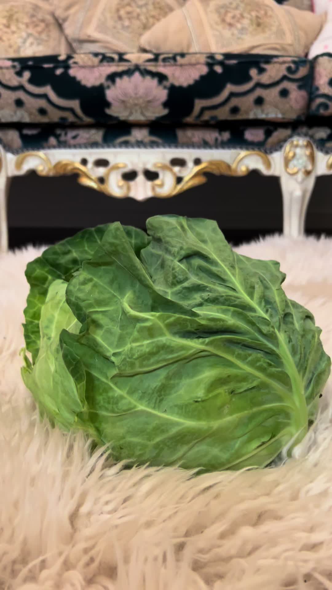 @billion_farm