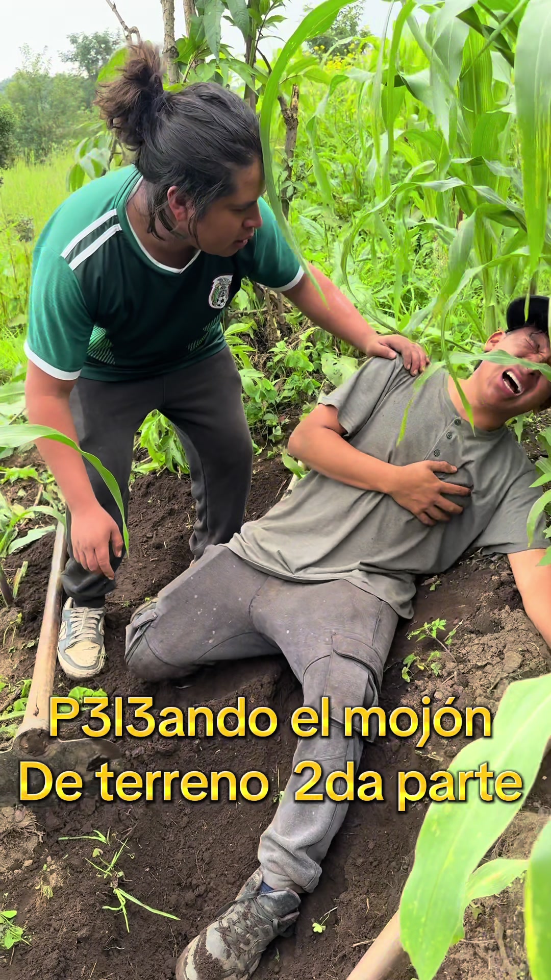 @el roller 502