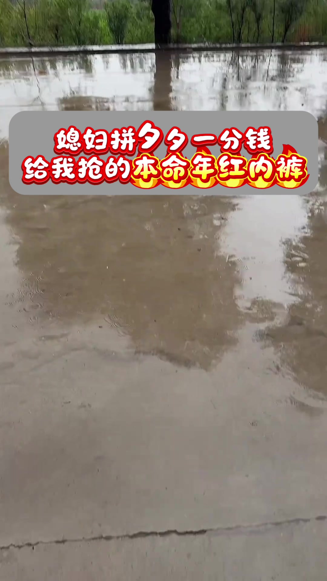 @SPT美国储能大王盛哥