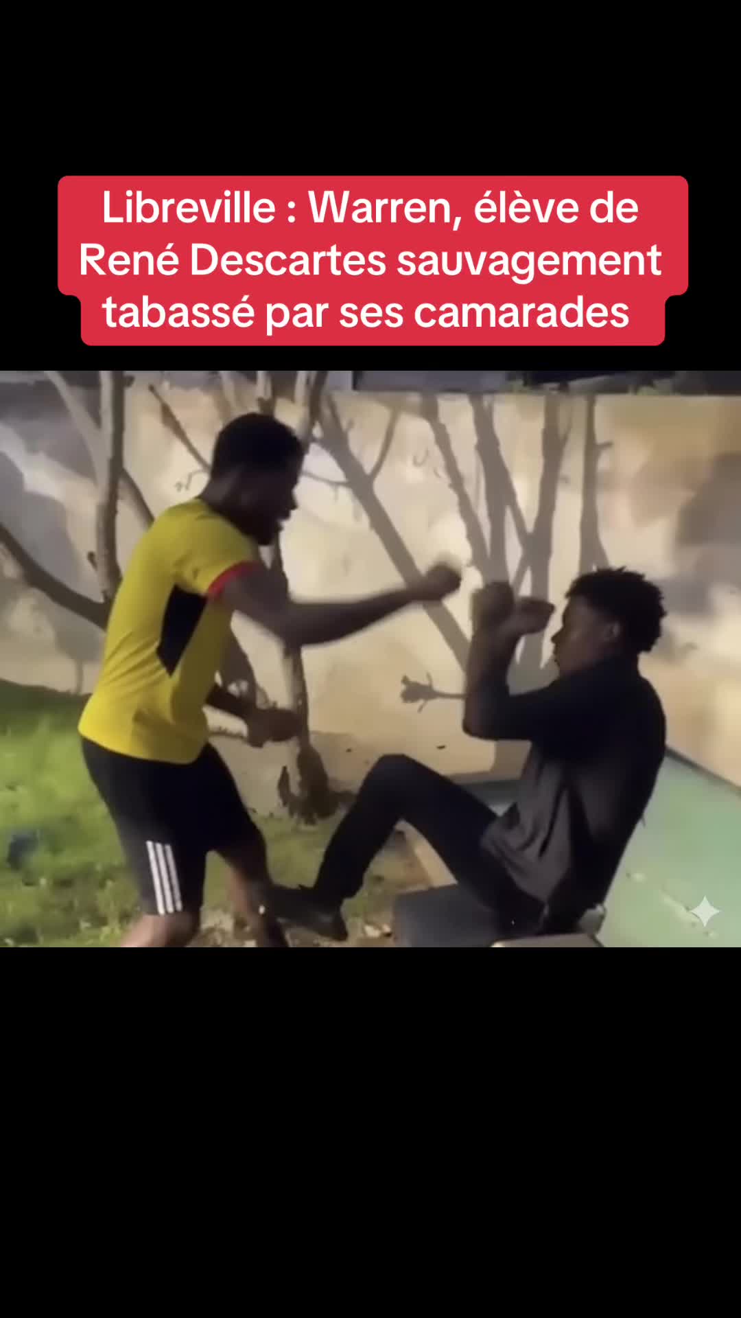 @MEDIANET241