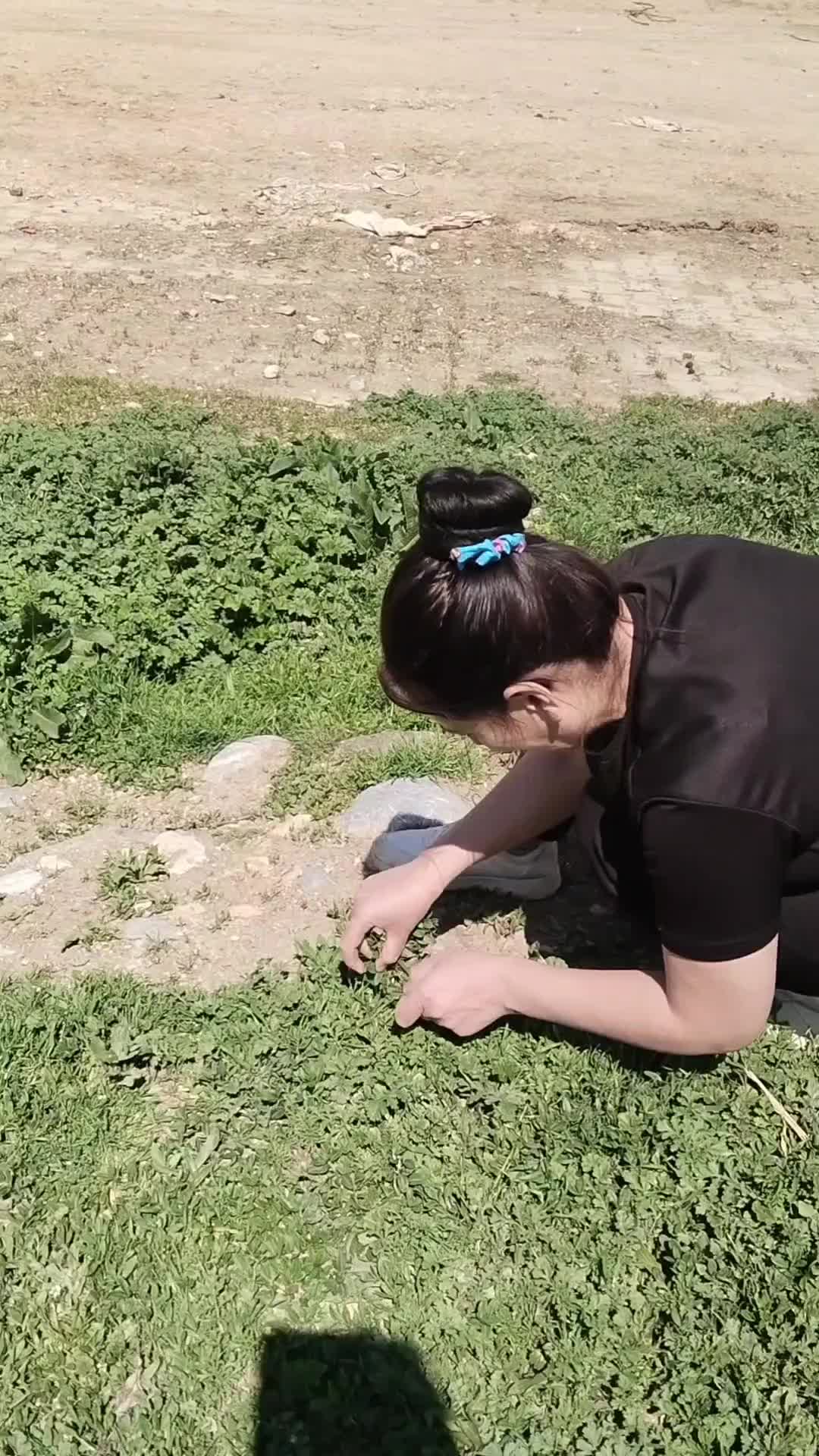 @Mehmet çavuş 42 konya