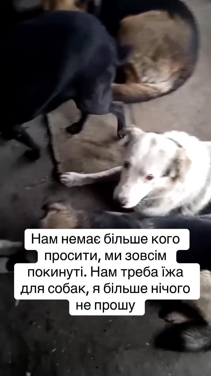 @kvitochki222