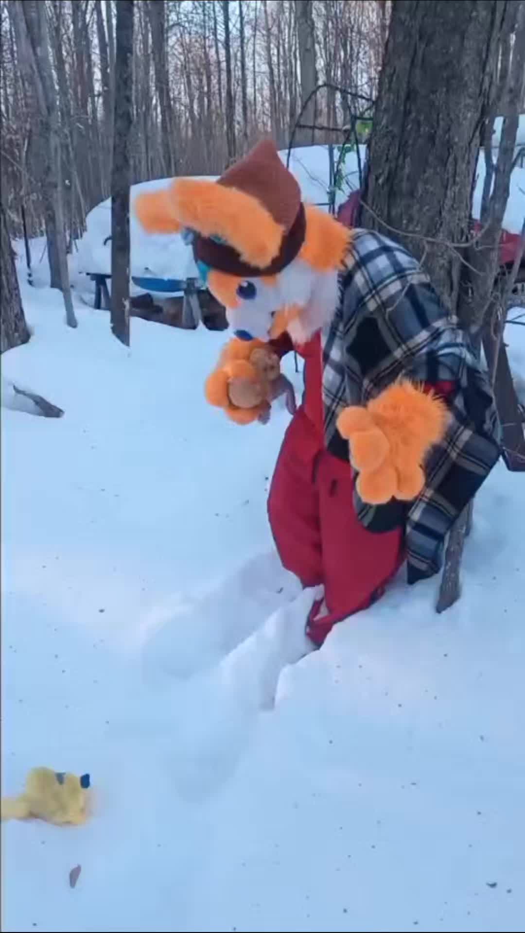 @CrittersdenCreations
