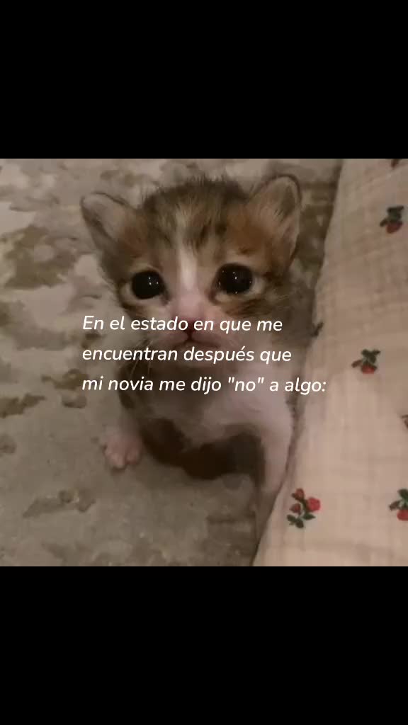 @𝒮𝓁𝓋𝓈𝓔