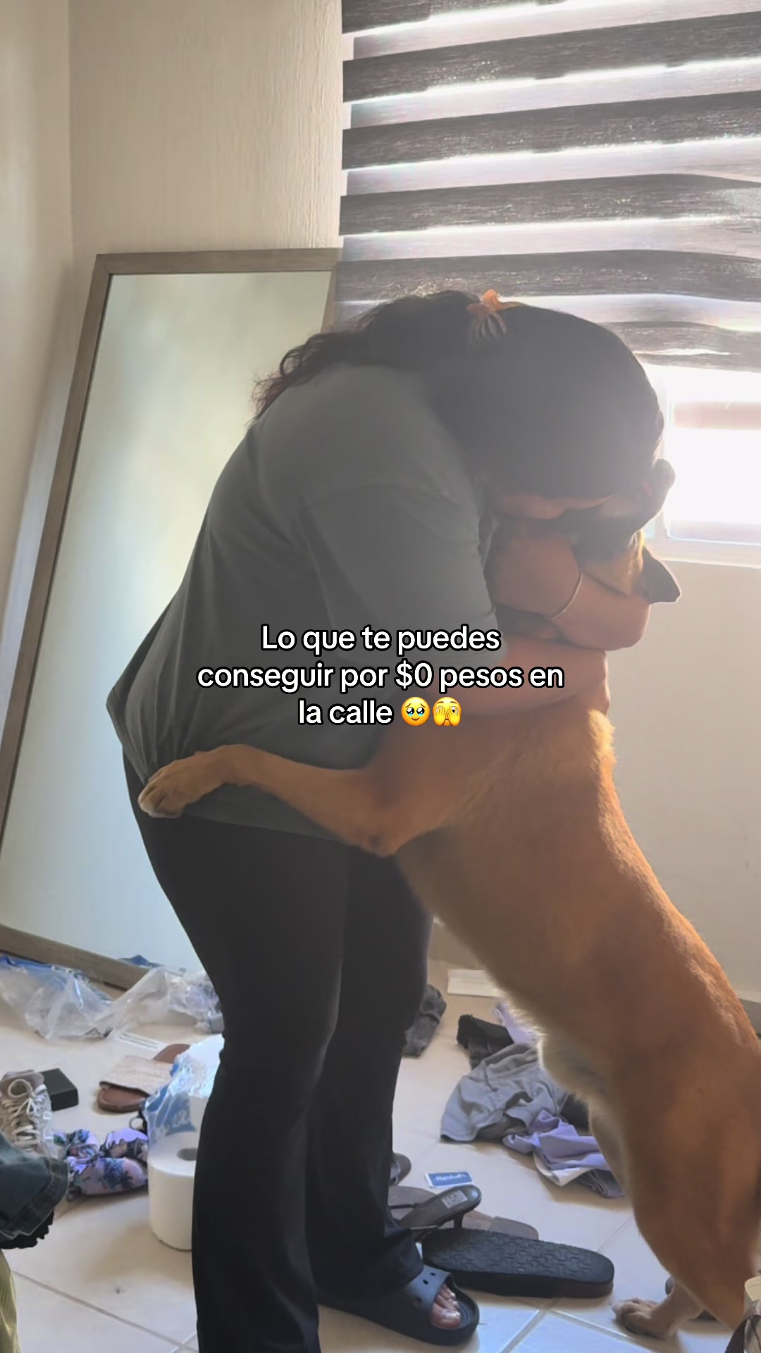 @humanaitzel