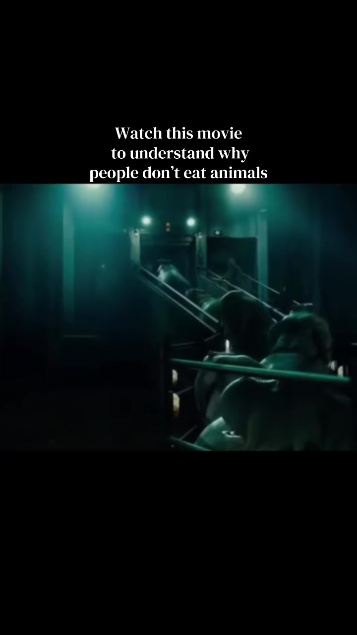 @animalrightsdaily