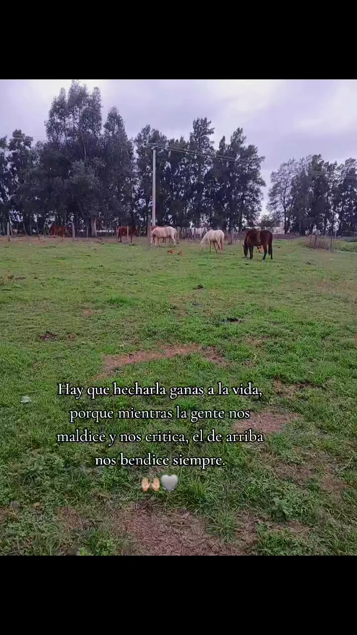 @rocio cerda
