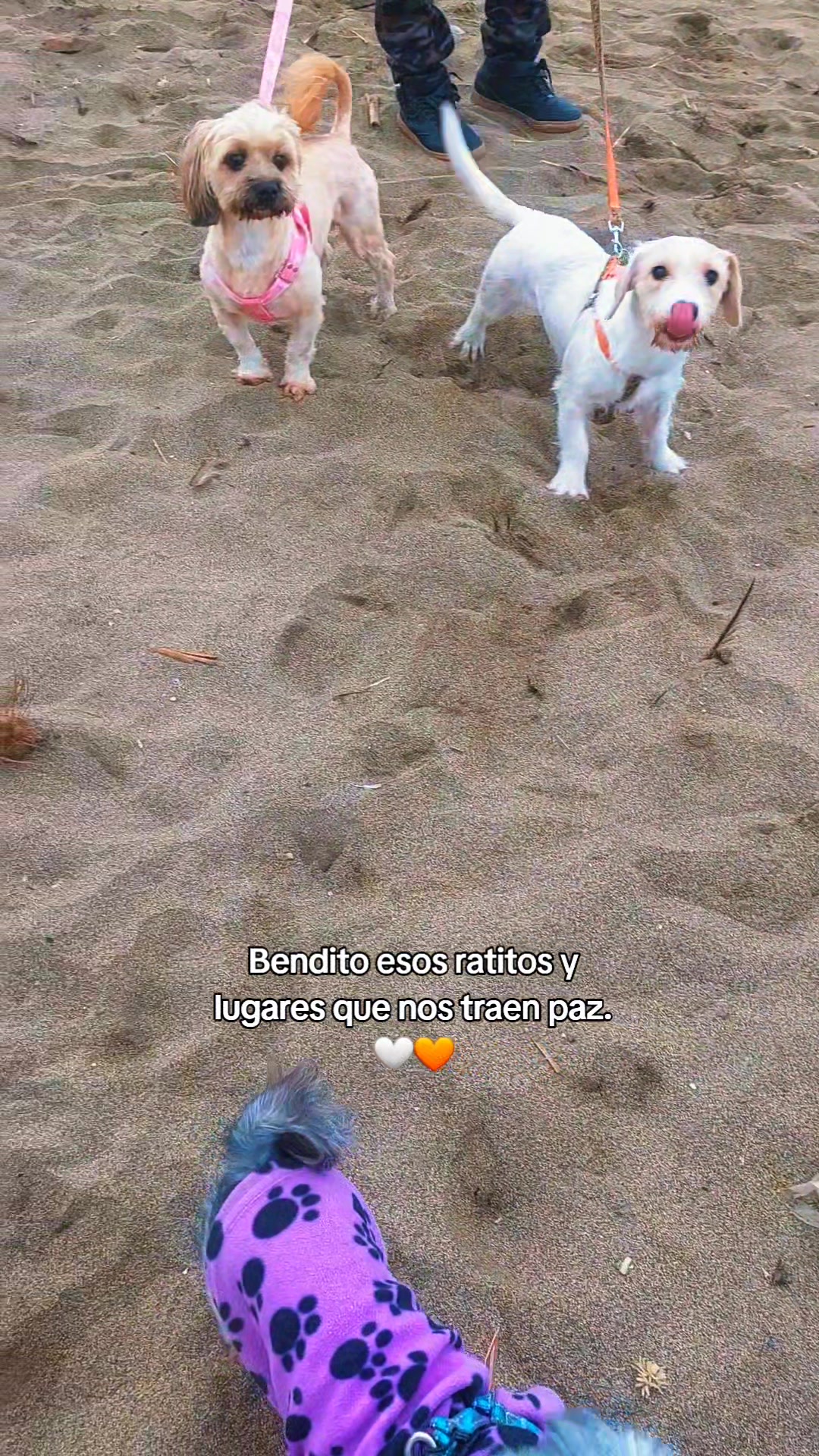 @CAJOZU