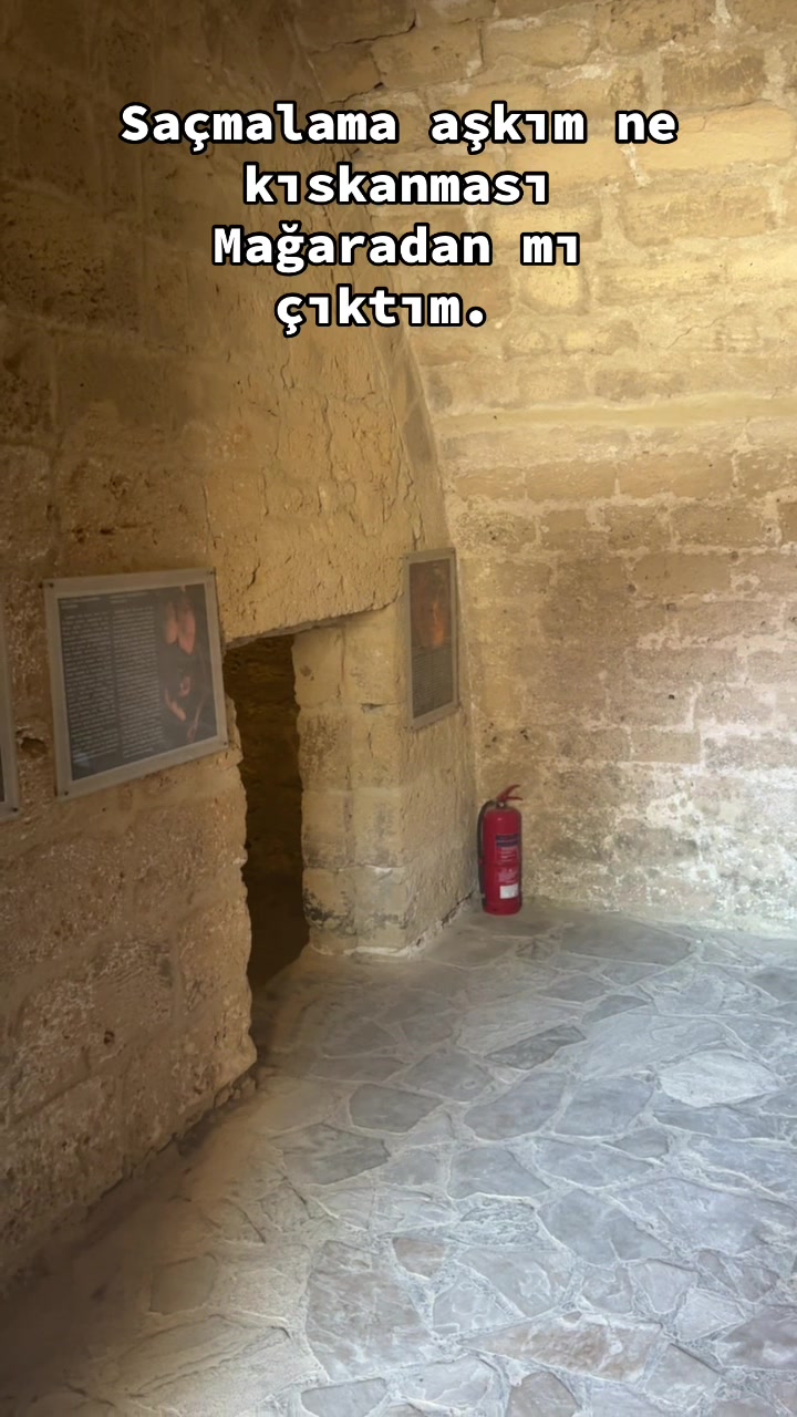 @Veysel