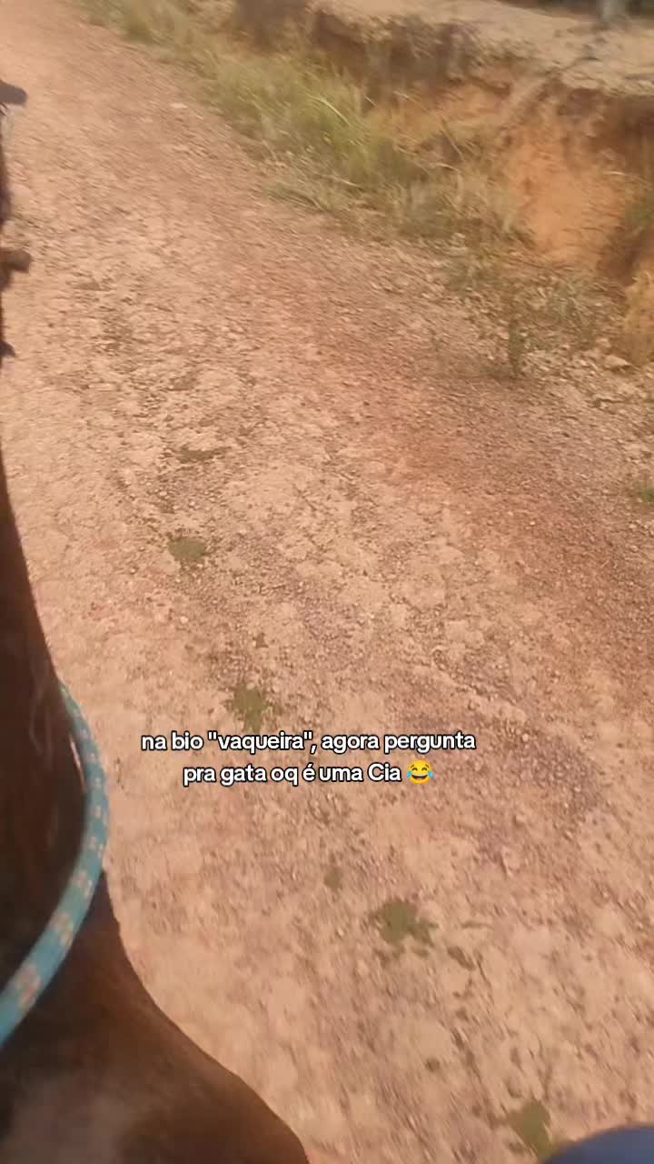 @Barbalho