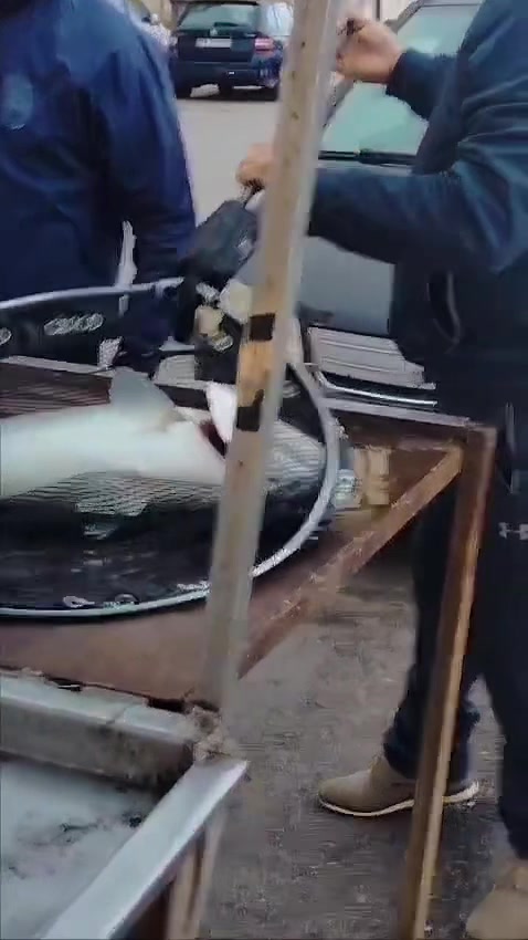 @Giuseppe83