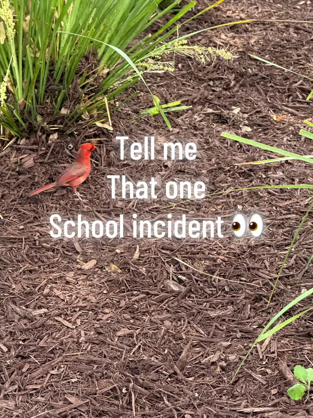 @Grumpy spino