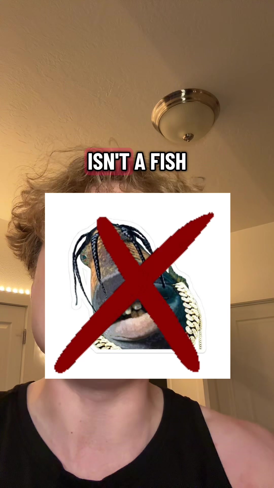 @DapDerDapy