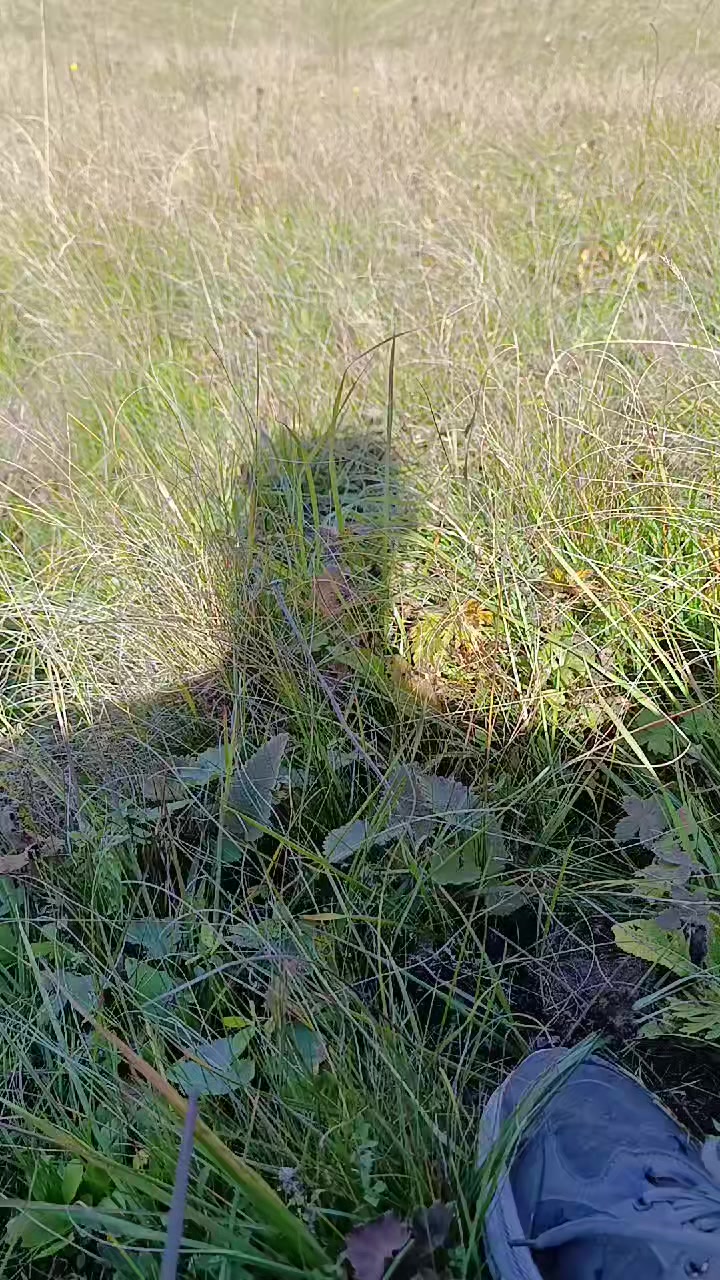 @ВАЦГЕН