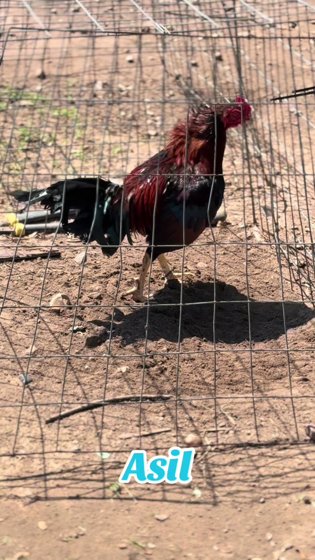 @Bryan Gamefarm