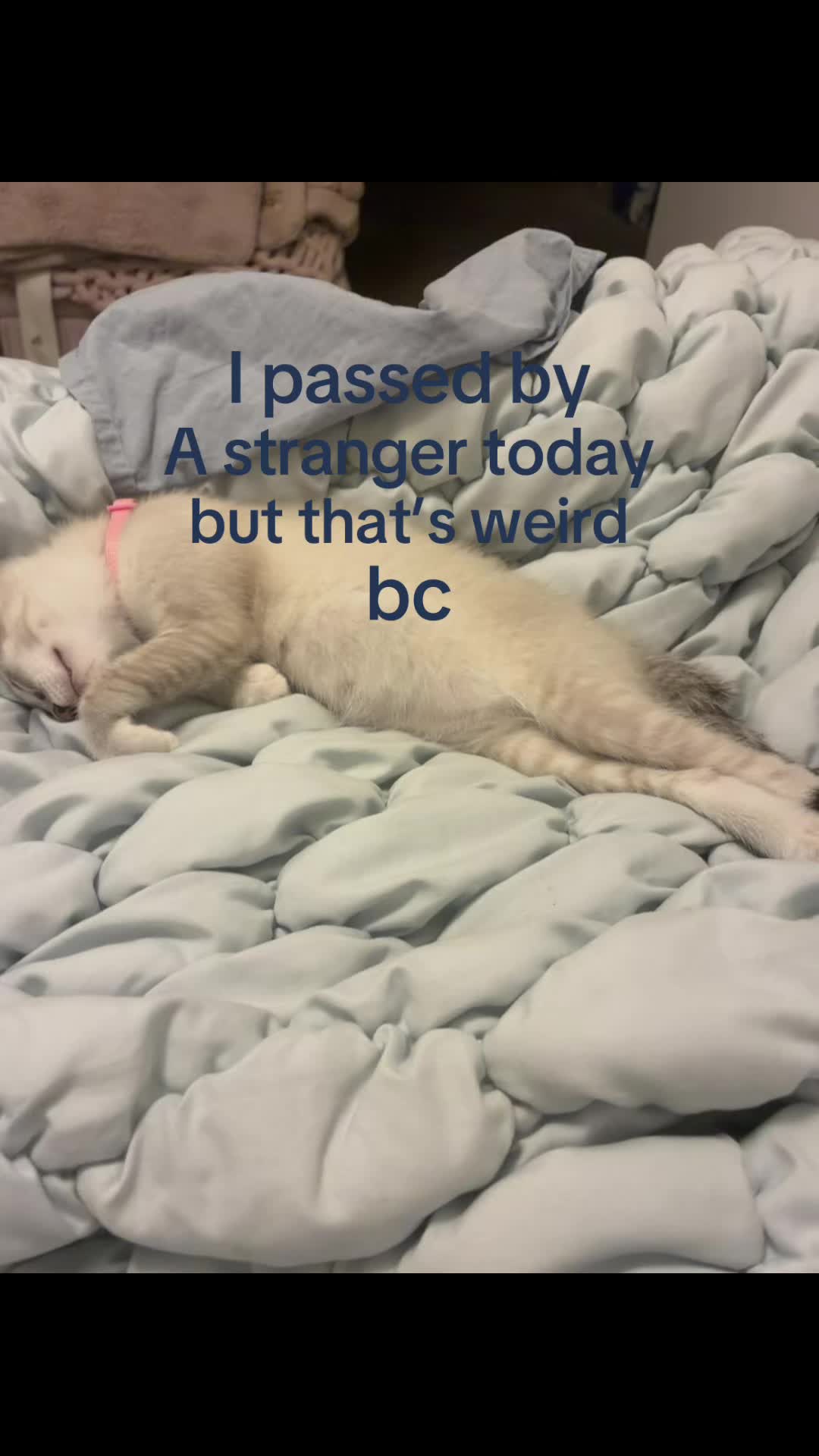 @JAZZYYYY