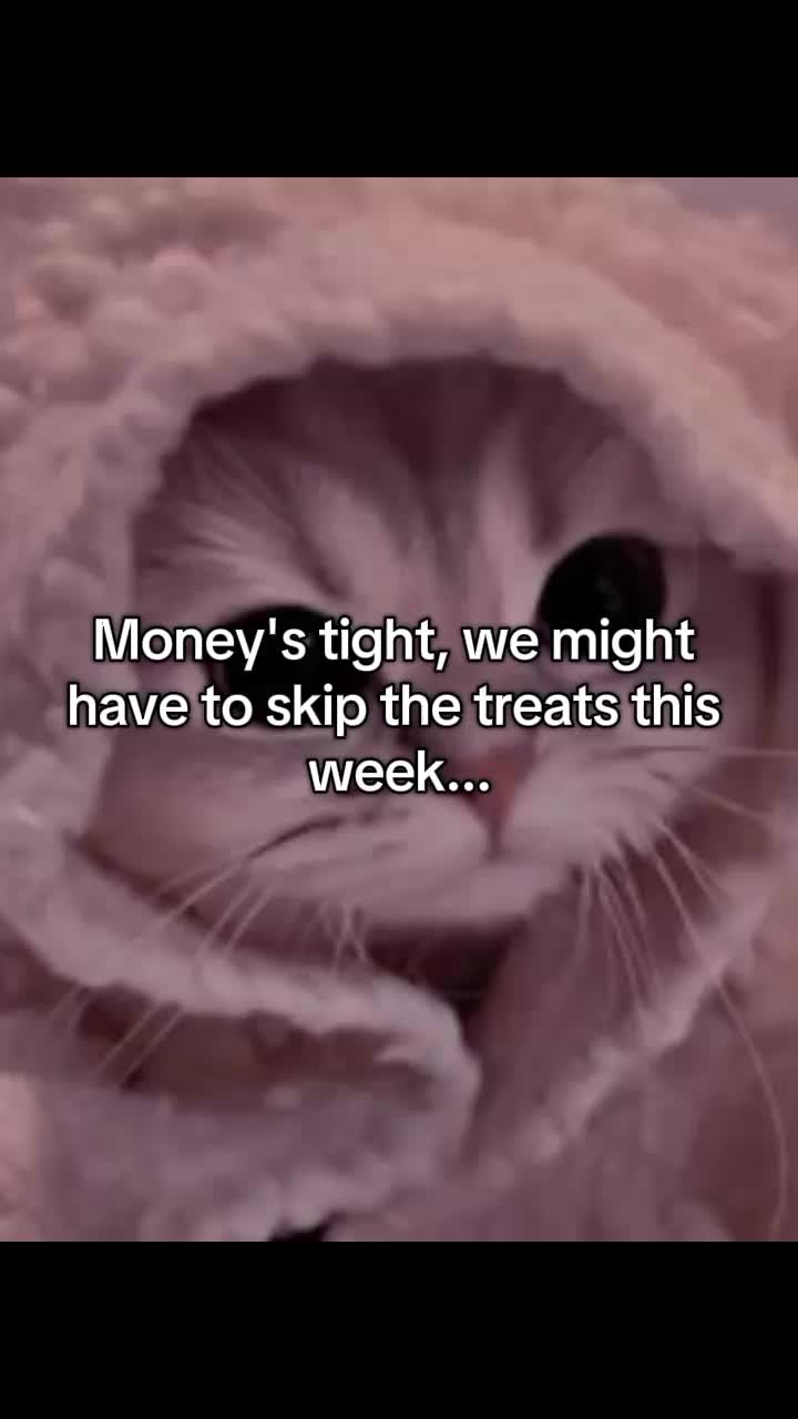 @SL33PY