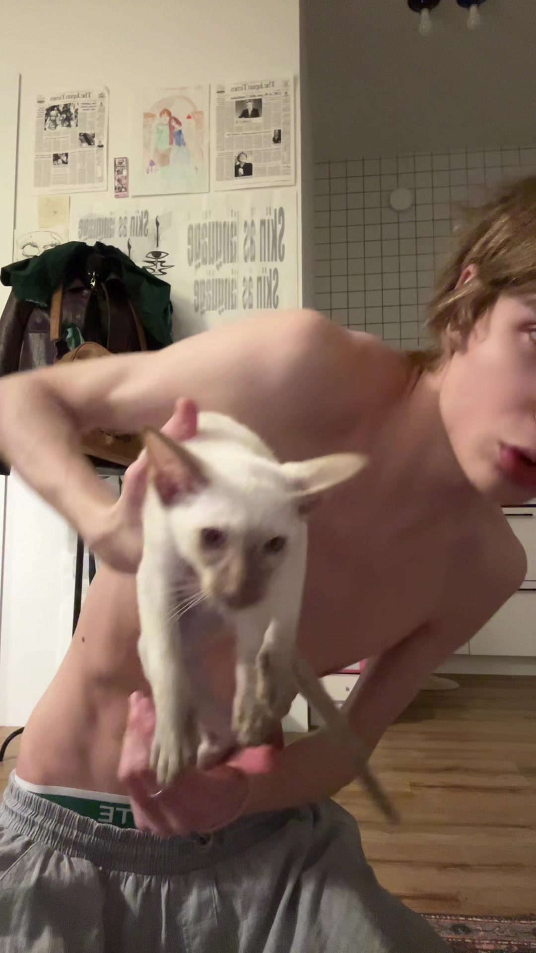 @дигримис