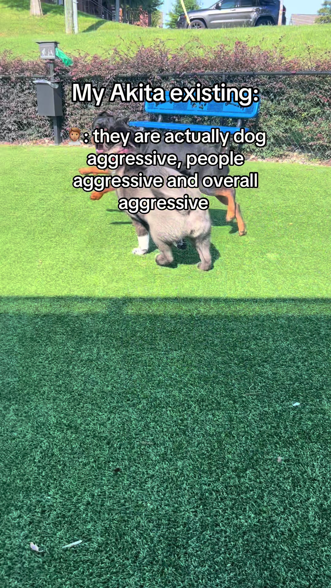 @tailsssss_