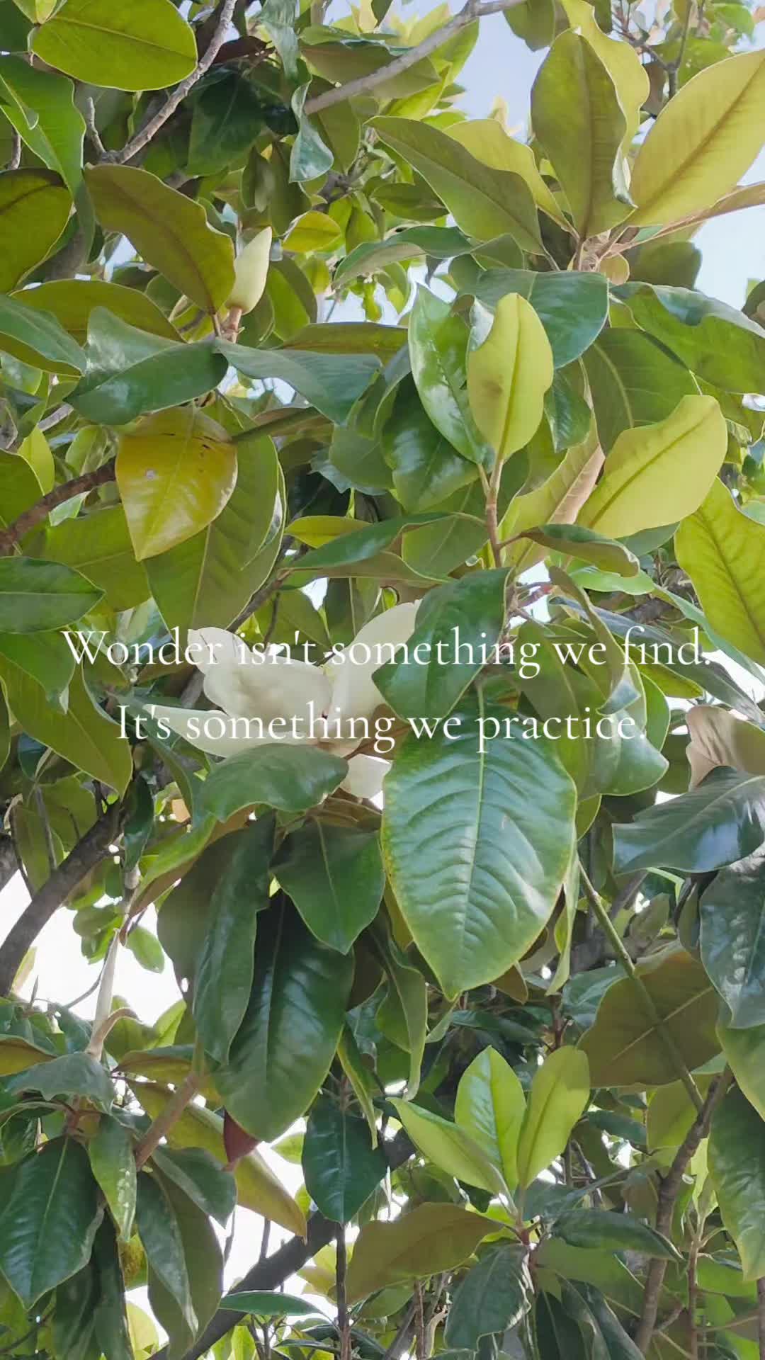 @Augustembersdesigns