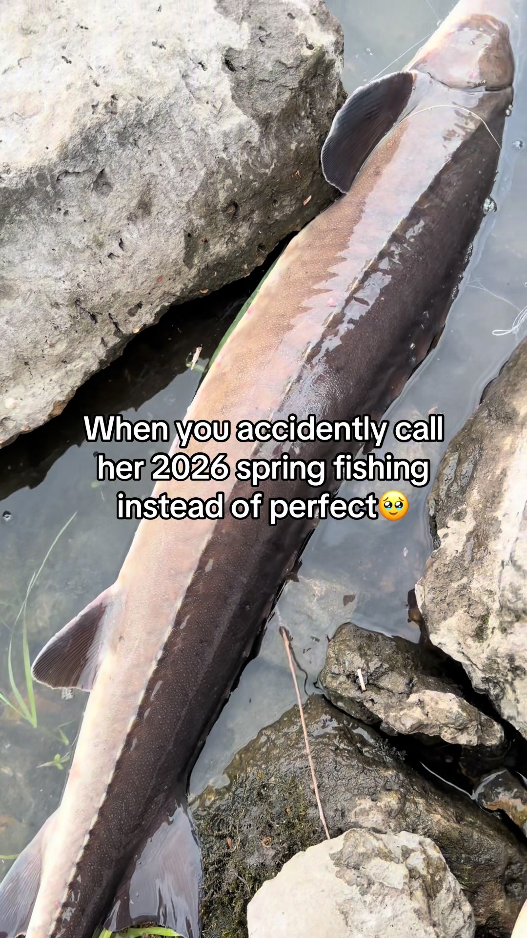 @FattBassFishing