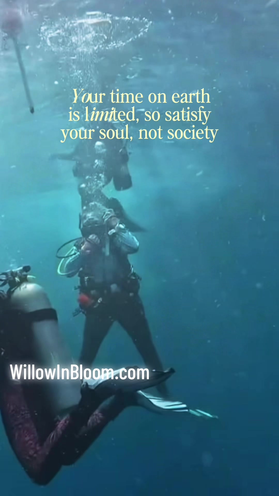 @willowinbloom