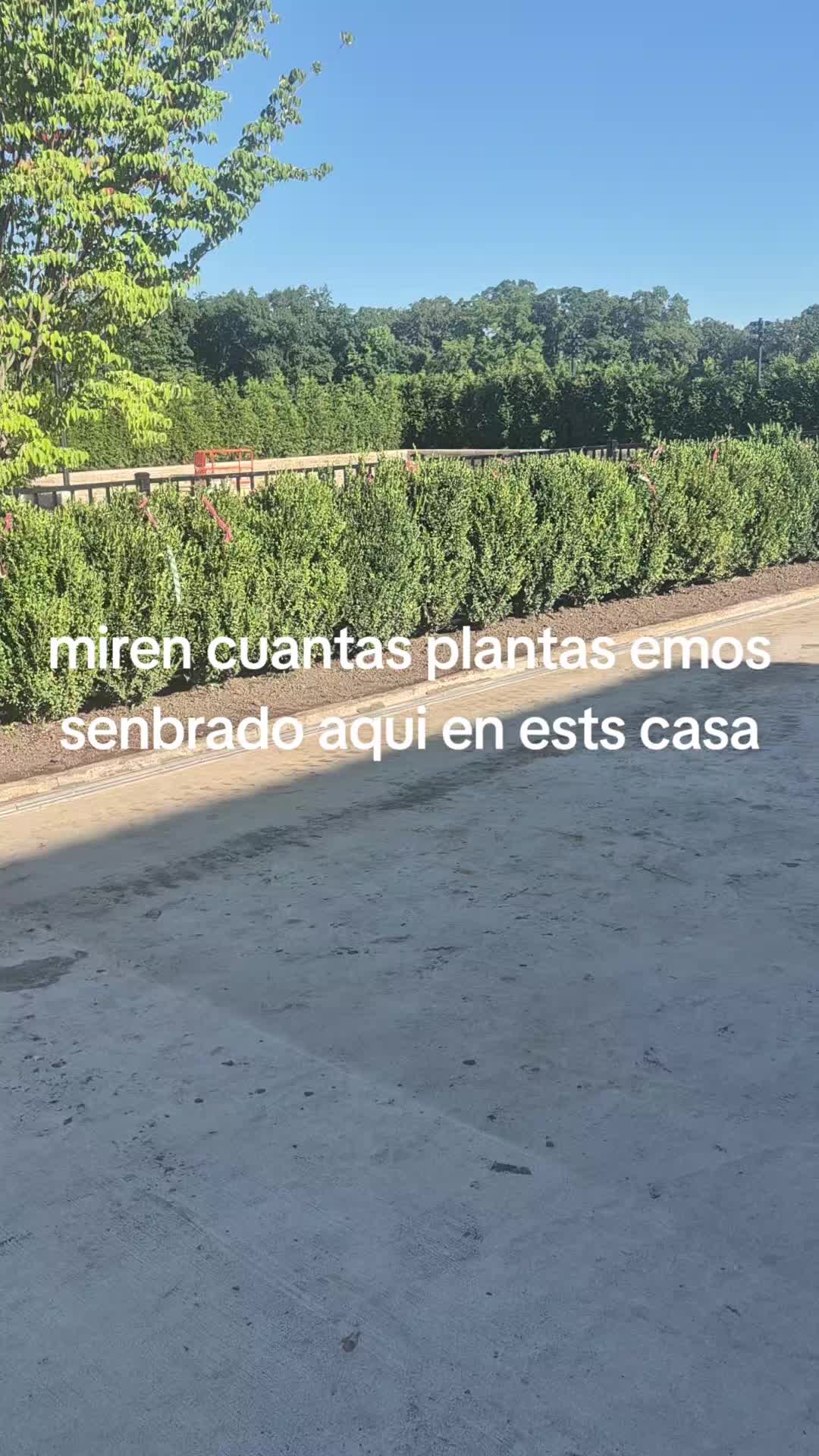 @hernan navarete