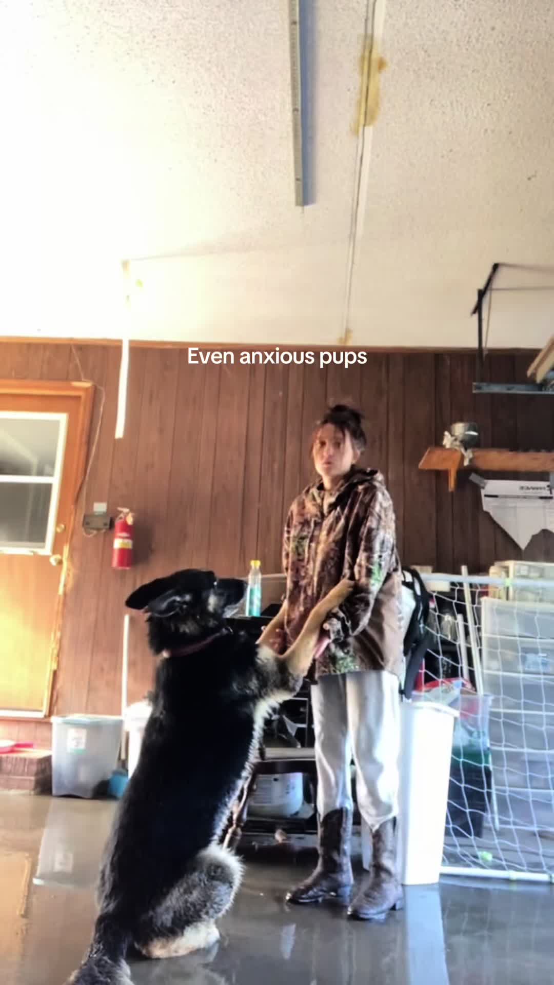 @Bo