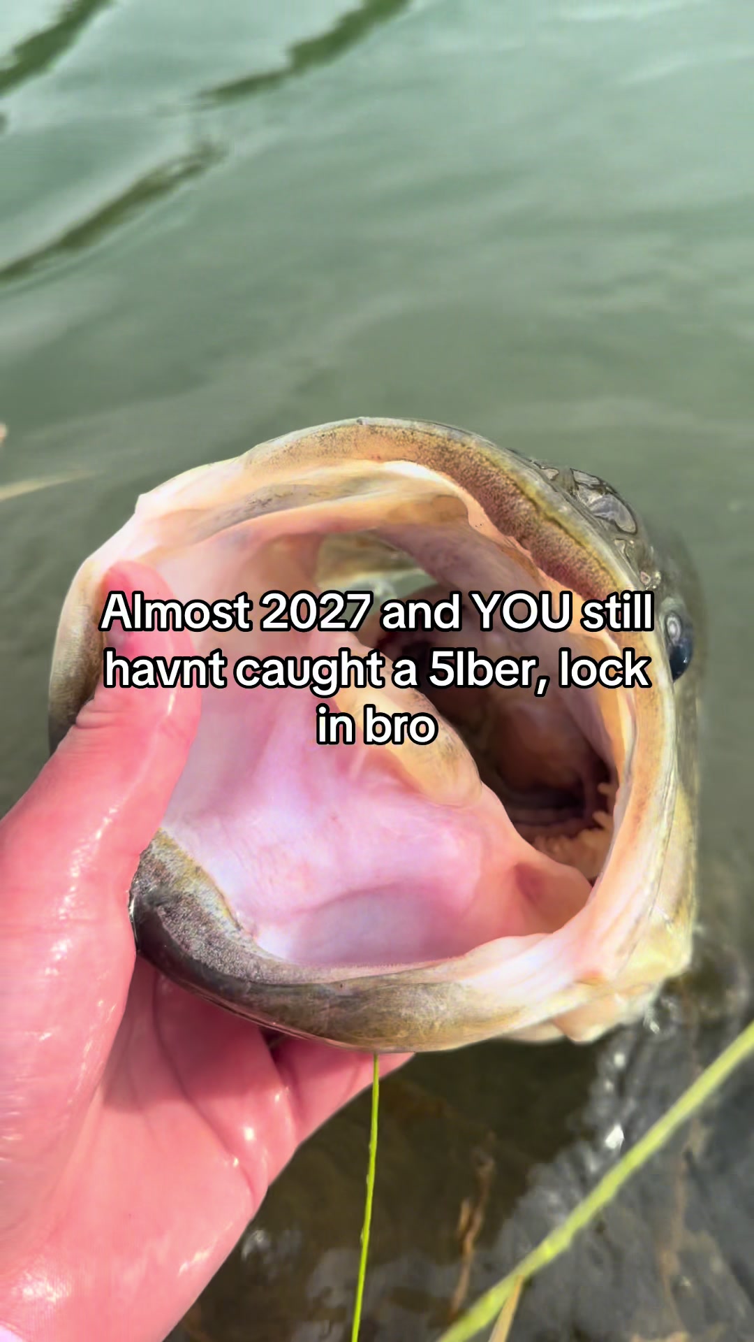 @FattBassFishing