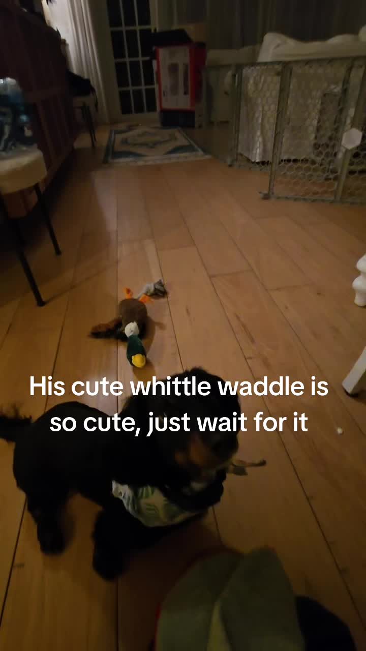@SkkyDogWalker