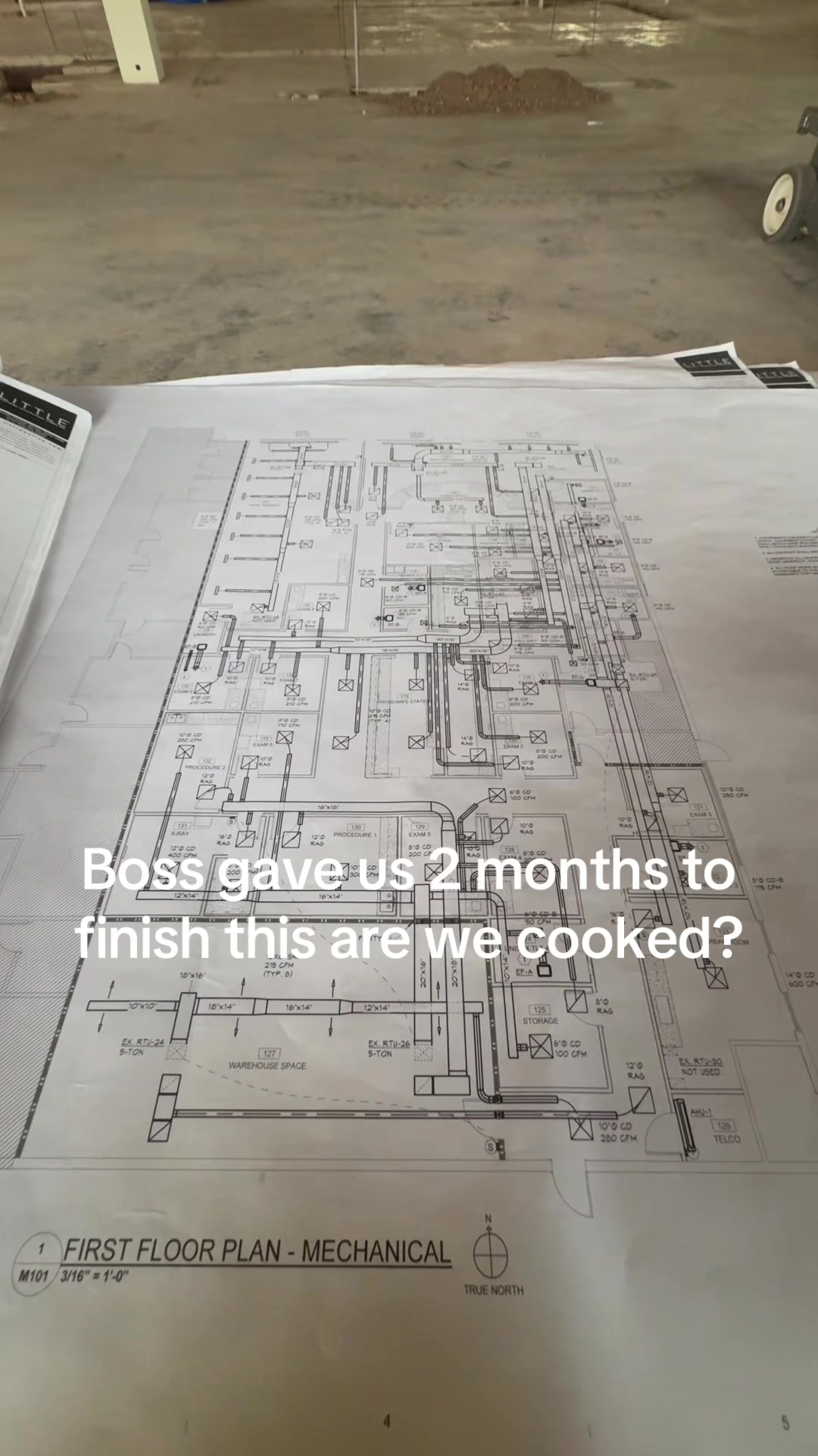 @green.technicians