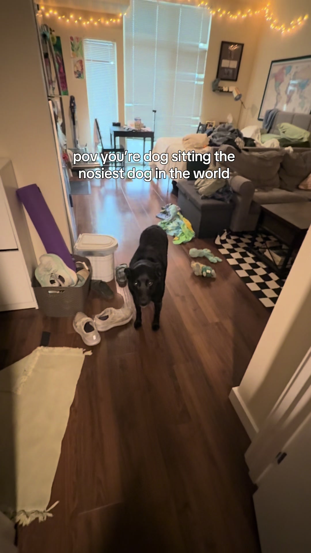 @emily