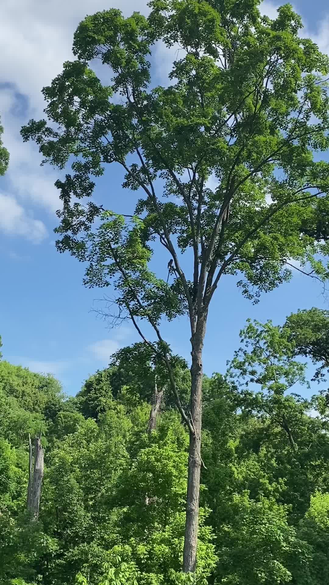 @Motiv_a_tay365
