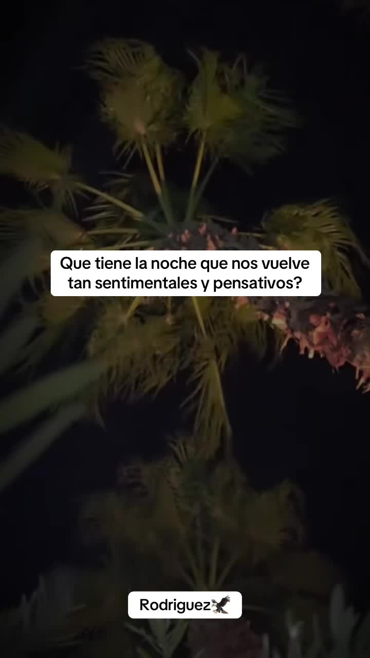 @๐๐R๐๐