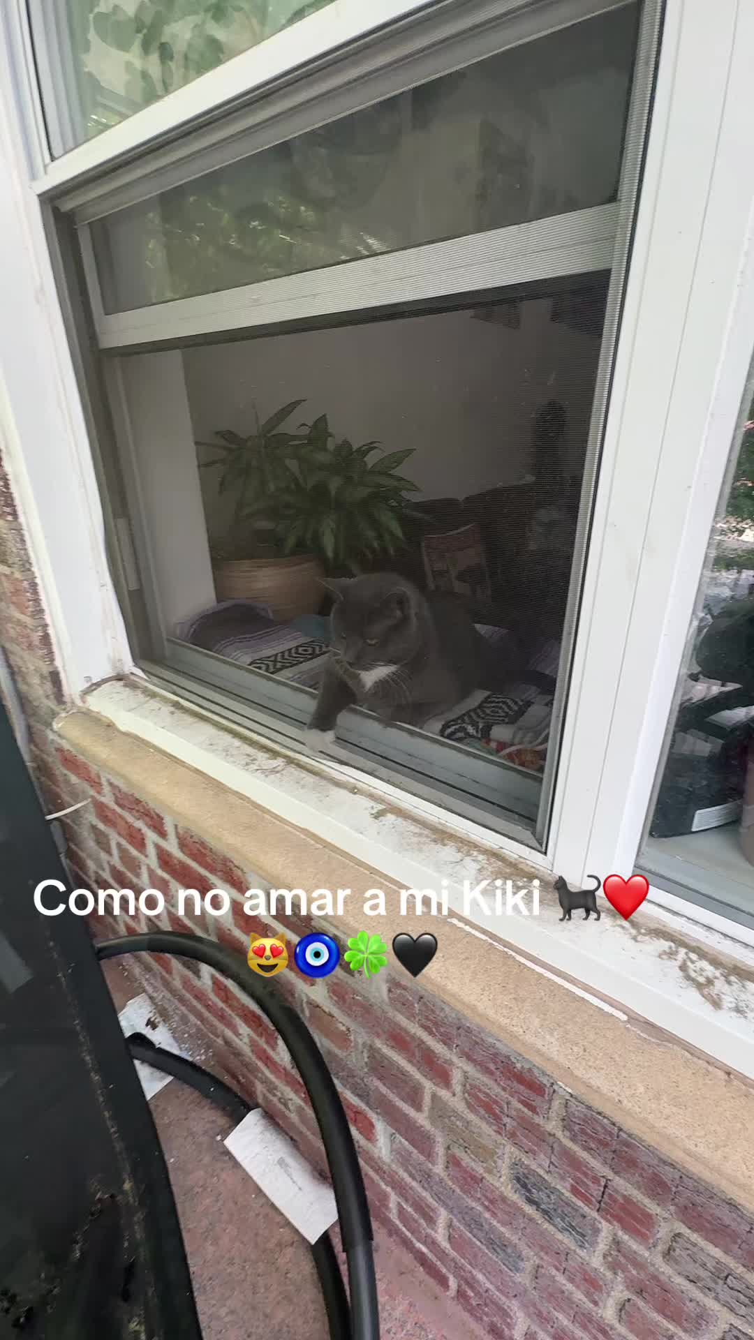 @🍀🧿NEGRA🧿🍀🖤