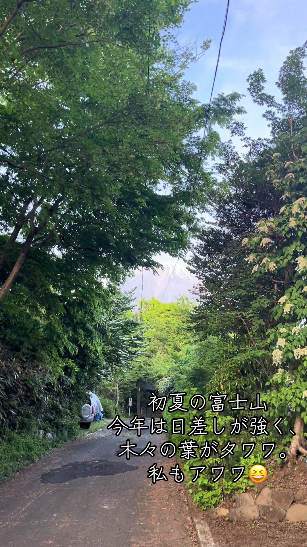 @若林昭子
