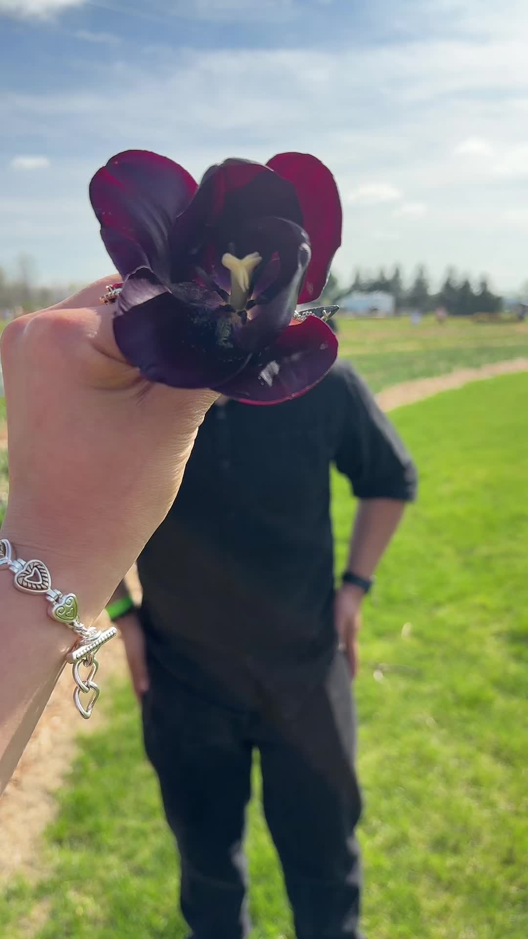 @Katia 🖤