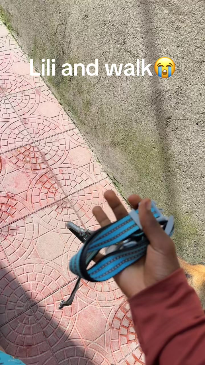 @Bella