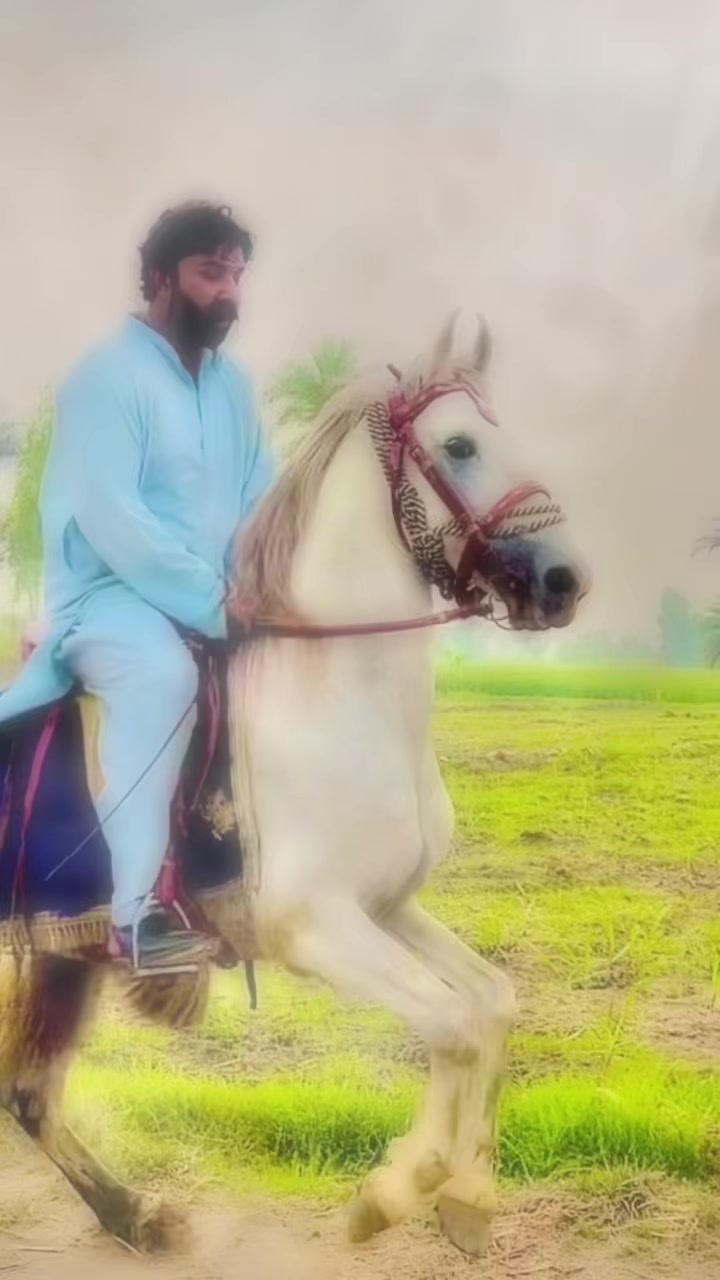 @makhdoomawaisshahoffcial