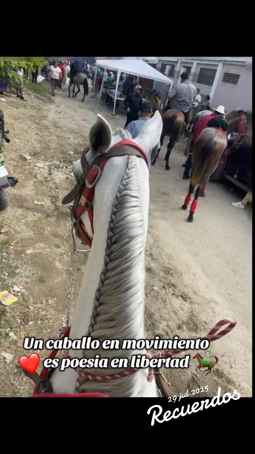 @Angeles Alvarado 504