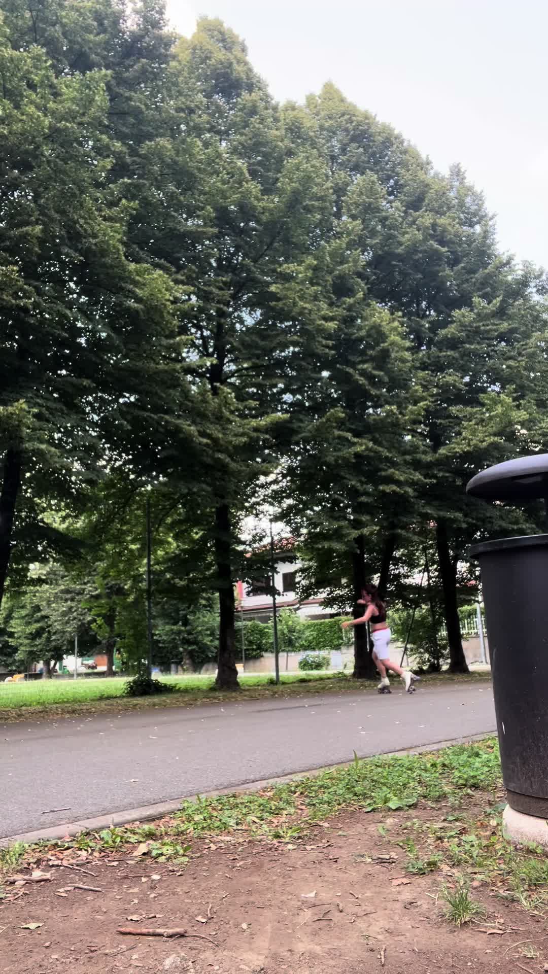@333🪽