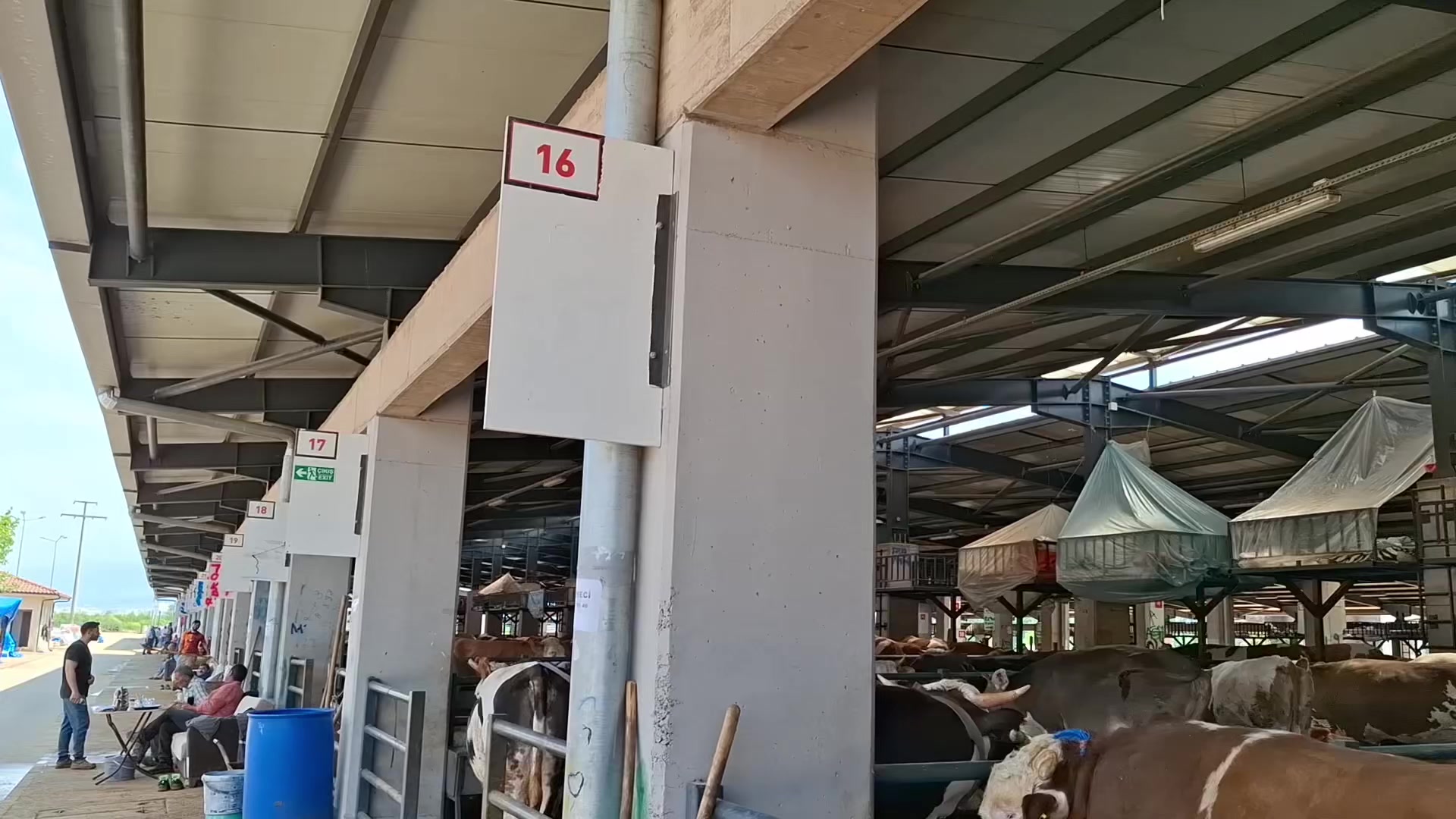 @Turgutkurt2525