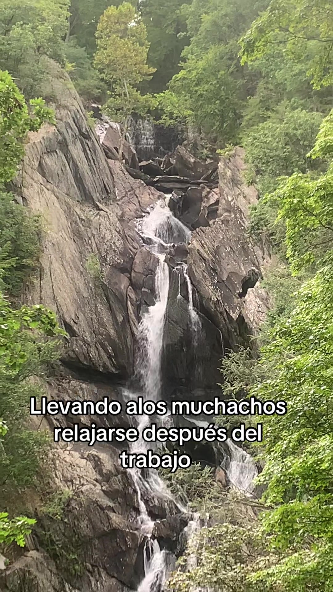 @donaldo