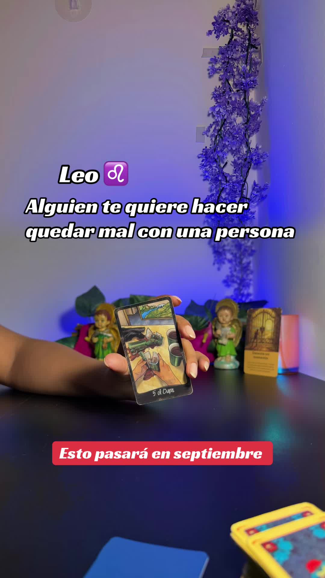 @camitarot77