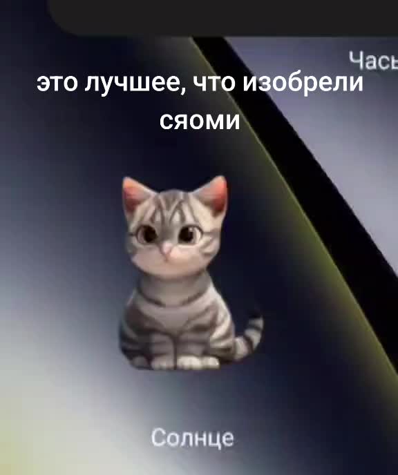 @скрр пау пау