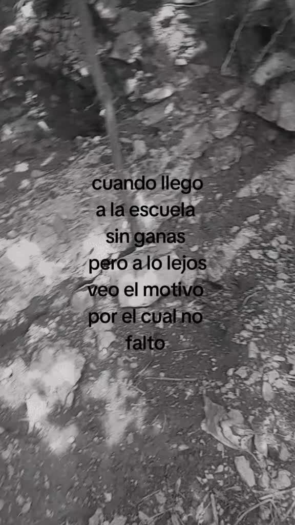 @compartidos