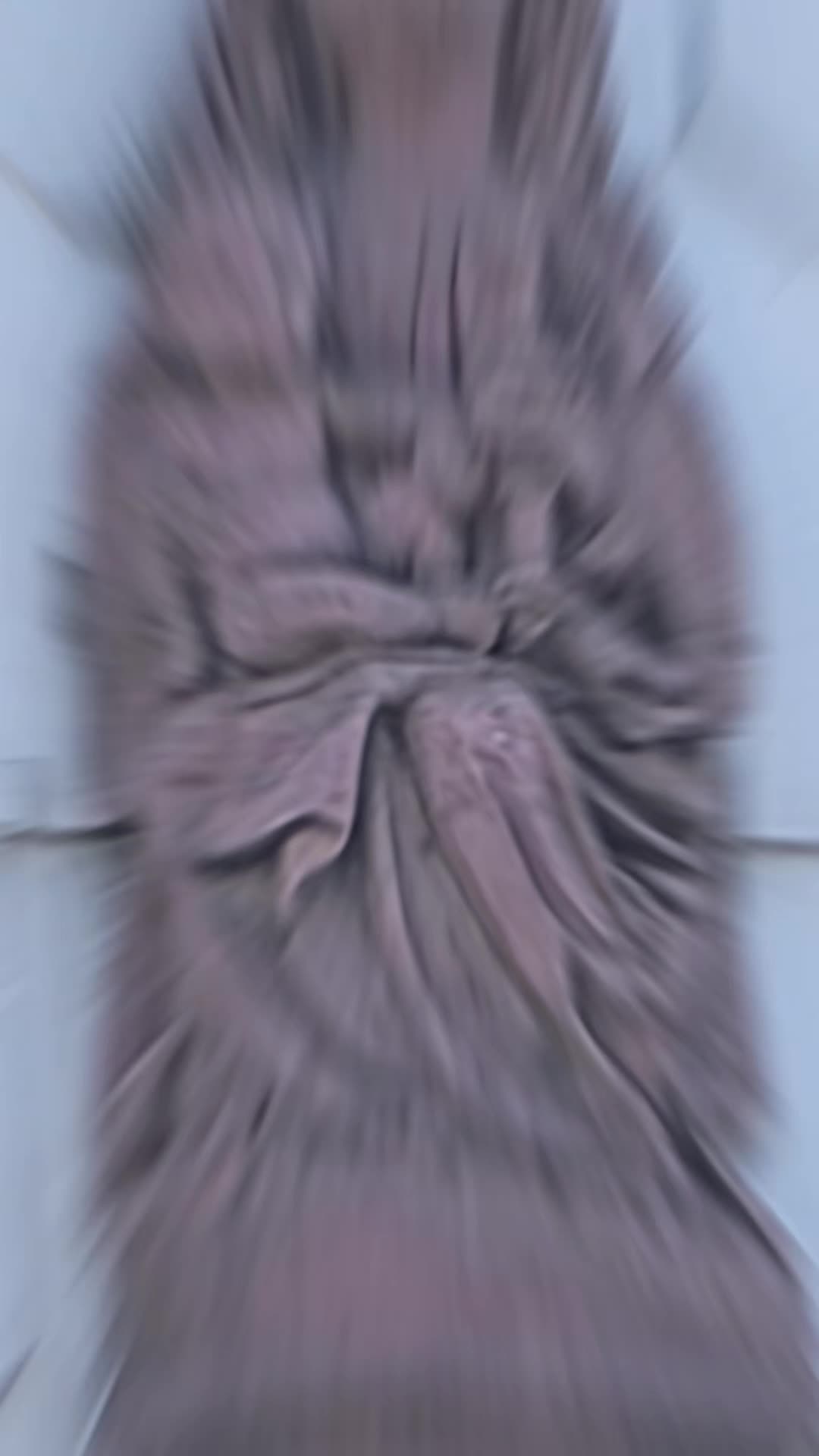 @♤♡ المسافرة ♡♤