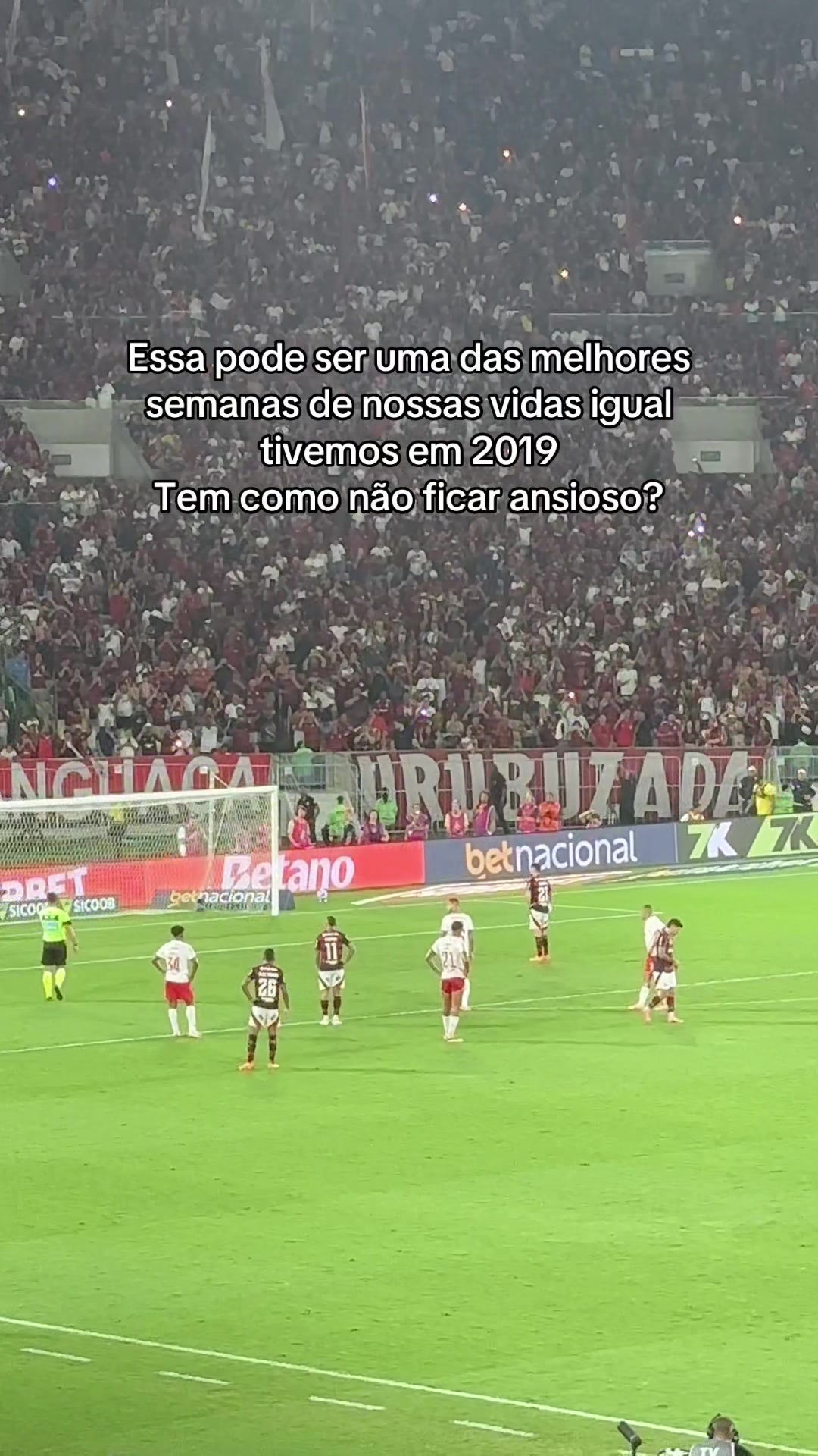 @Pedro🐺