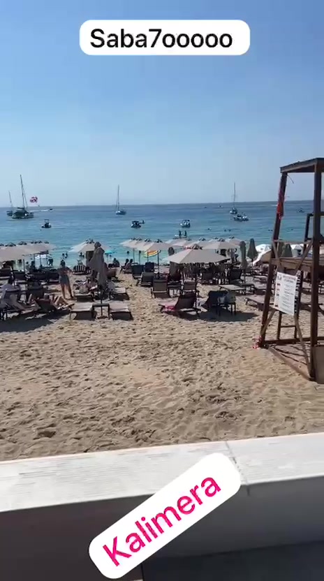 @SHARK 🦈🇩🇪🇩🇪 بيروت